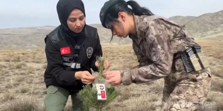 Kadın polisler, şehit kadın polislerin anısına fidan diktiler