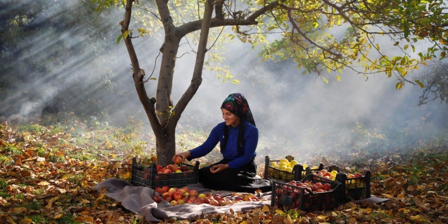 ‘Kadrajımdan Edremit Fotoğraf Yarışması’ sona erdi