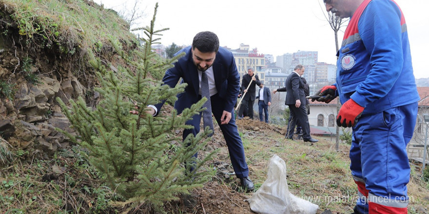 Kağıthane’de yeşil gelecek: Her bebek bir ağaçla büyüyor