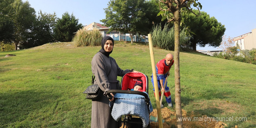 Kağıthane’de yeşil gelecek: Her bebek bir ağaçla büyüyor