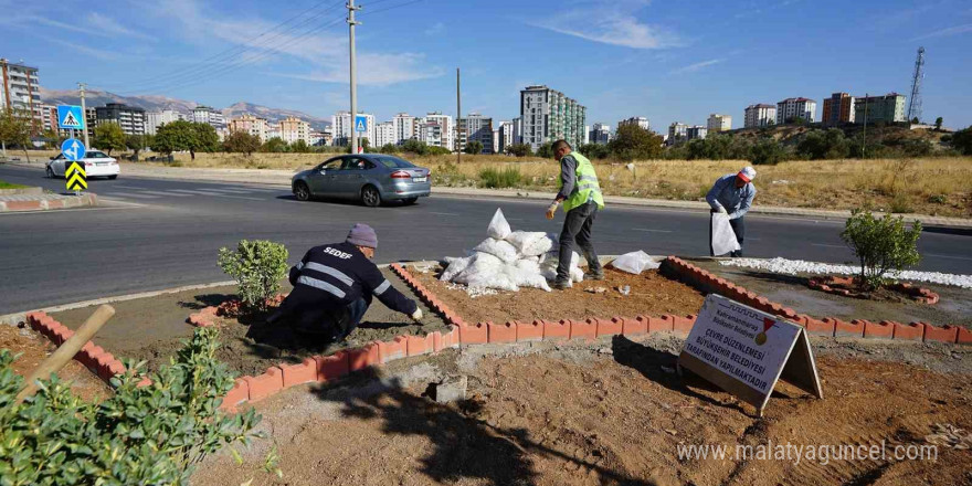 Kahramanmaraş refüjlerinde peyzaj düzenlemeleri