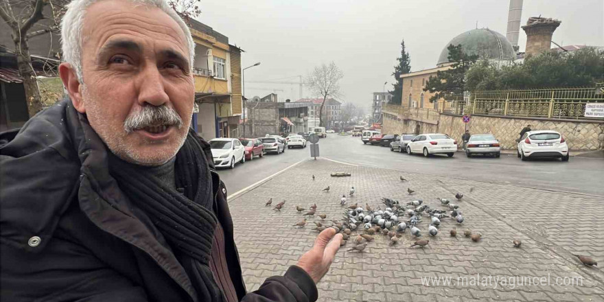 Kahramanmaraşlı esnaf depremde hasar alan cami önündeki güvercinleri her gün yemliyor