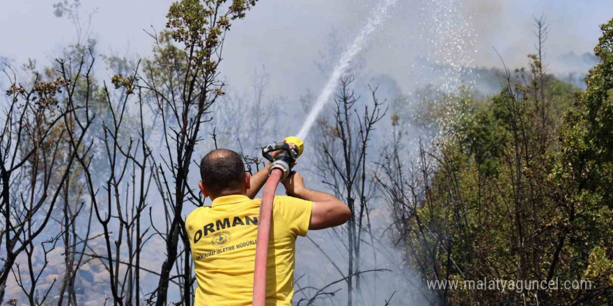 Kahramanmaraş’ta orman yangının kontrolü altına alındı