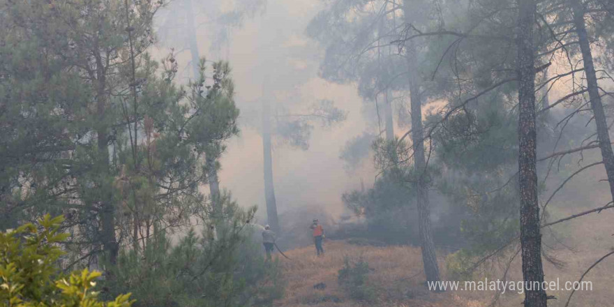 Kahramanmaraş’ta orman yangının kontrolü altına alındı