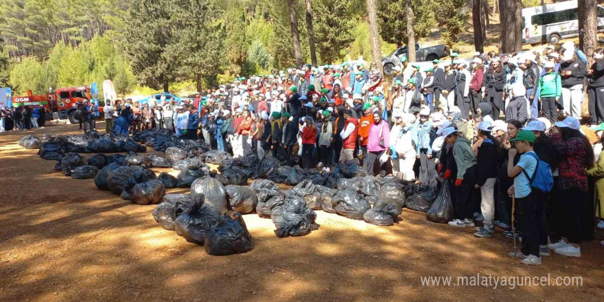 Kahramanmaraş’ta ormanlar temizleniyor