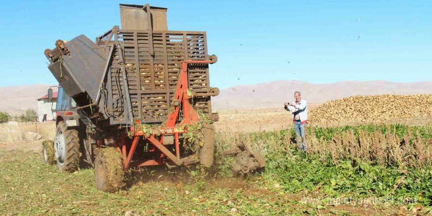 Kahramanmaraş’ta şeker pancarı hasadı başladı