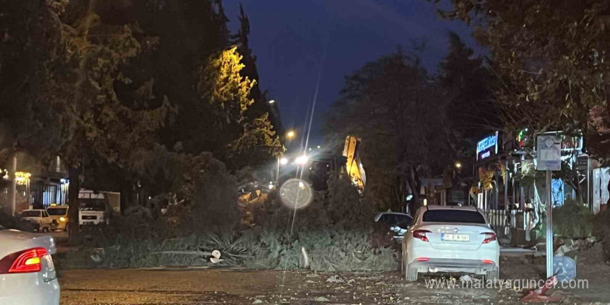 Kahramanmaraş’ta şiddetli rüzgarda ağaçlar ve direkler devrildi