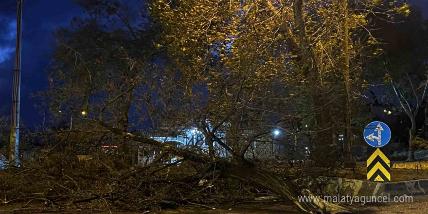 Kahramanmaraş’ta şiddetli rüzgarda ağaçlar ve direkler devrildi