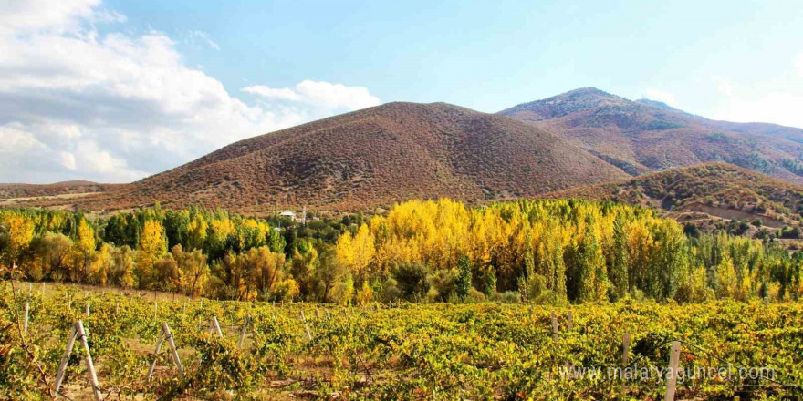 Kahramanmaraş’ta sonbahar güzelliği