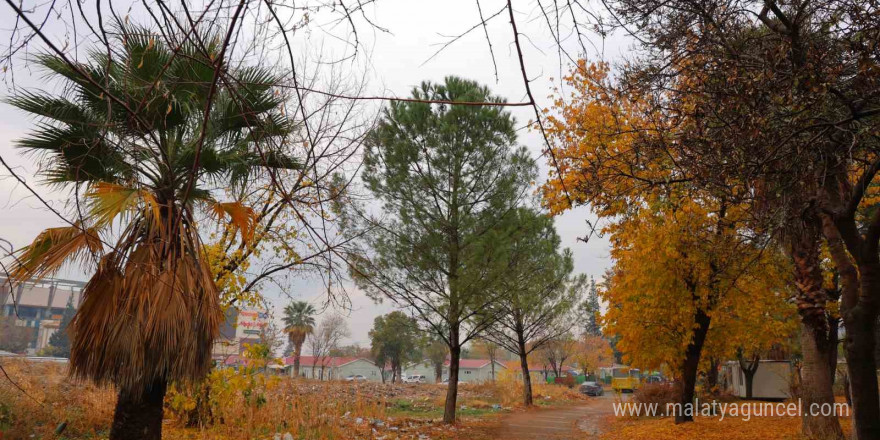 Kahramanmaraş’ta sonbaharda renk cümbüşü