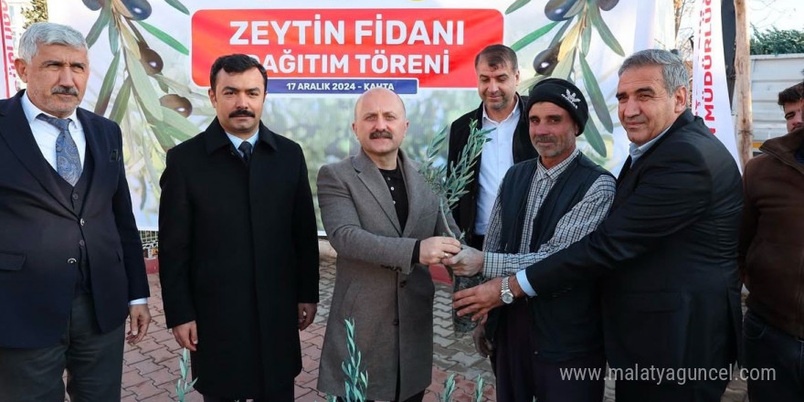 Kahta’da çiftçilere 70 bin zeytin fidanı dağıtıldı