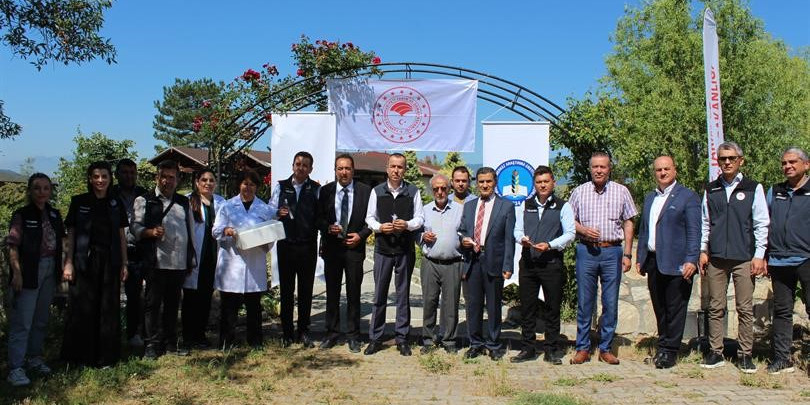 Kahverengi Kokarca böceği ile mücadele