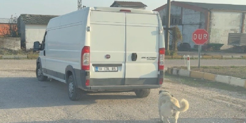 Kamyonetin arkasına bağlanarak sürüklenen köpek kurtarıldı, şahıslara cezai işlem uygulandı