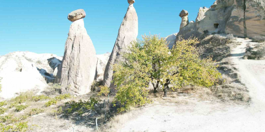 Kapadokya’da sonbahar güzelliği