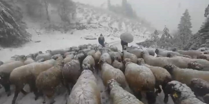 Kar bastırınca yayladan mezraya 3 günde ulaştılar