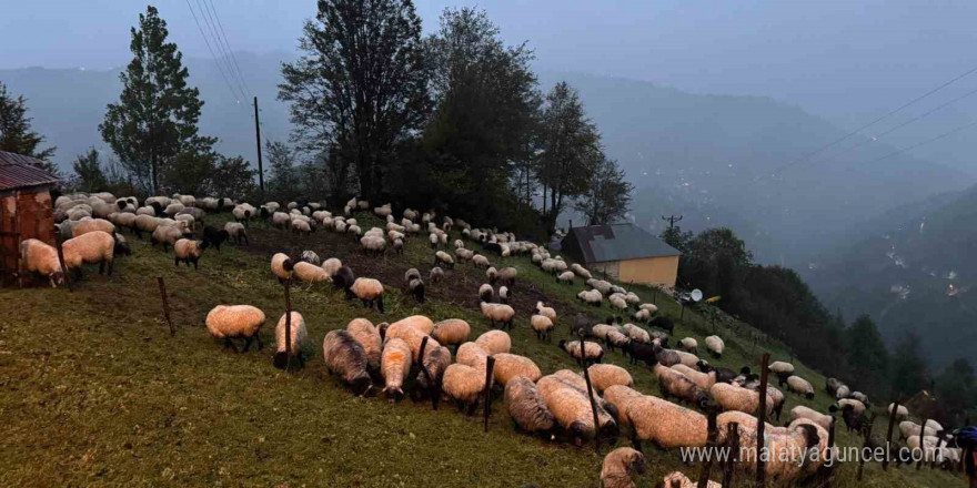 Kar bastırınca yayladan mezraya 3 günde ulaştılar