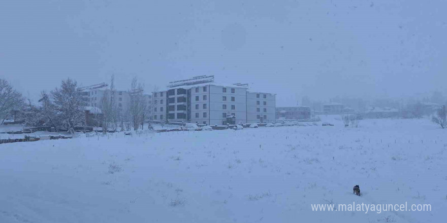 Kar, bir ilçenin tüm köy yollarını ulaşıma kapattı