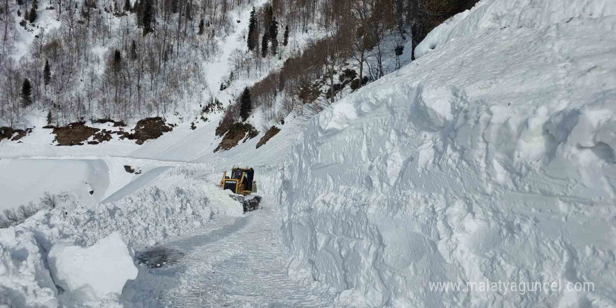 Kar nedeniyle ulaşıma kapanan Artvin’in Macahel Geçidi’nde yol açma çalışmaları 10 gündür devam ediyor