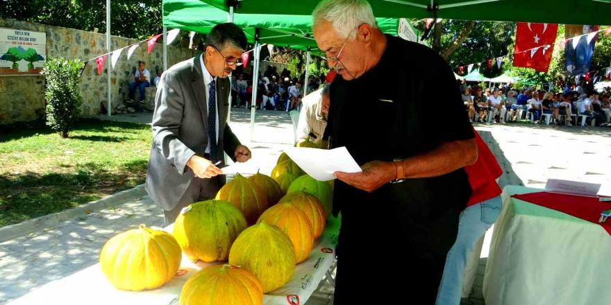 Karabağlar Yaylası’nda kavunlar yarıştı, kültür ve doğa buluştu