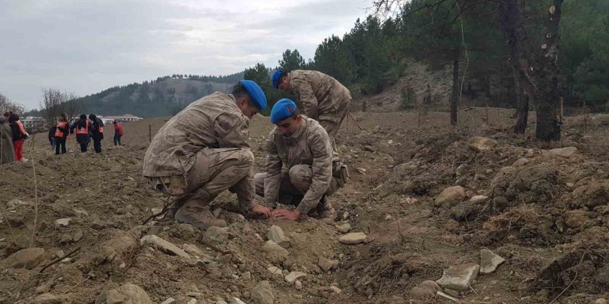 Karabük’te 41 noktada 52 bin 46 fidan toprakla buluşturuldu