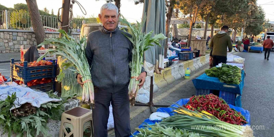 Karaciğer dostu enginarlar Aydın’daki pazar tezgahlarında yerini aldı