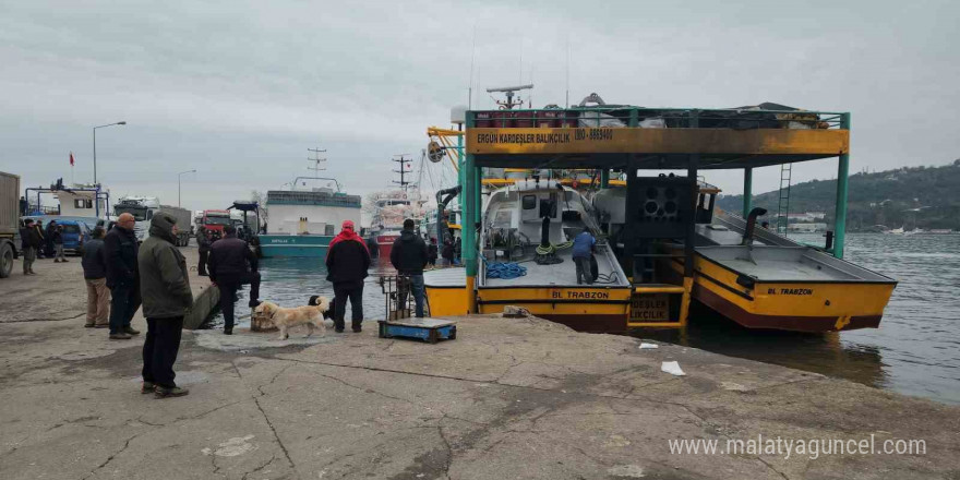 Karadeniz Ereğli Limanı’nda hamsi hareketliliği