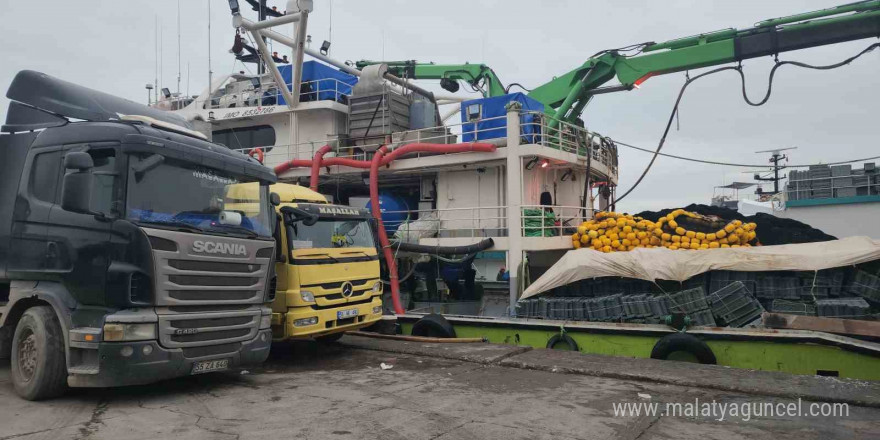 Karadeniz Ereğli Limanı’nda hamsi hareketliliği