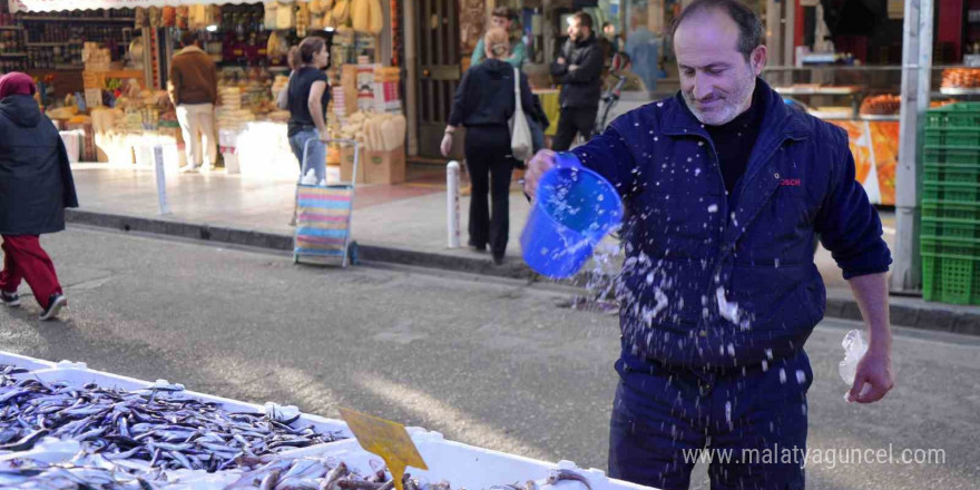 Karadeniz’de mezgit ve istavrit bolluğu