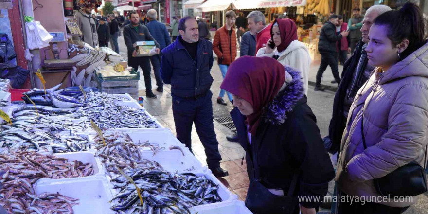 Karadeniz’de mezgit ve istavrit bolluğu