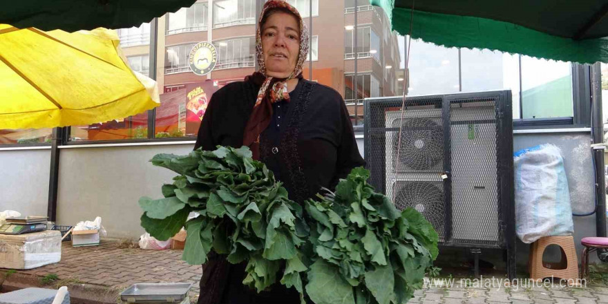 Karadeniz’deki karalahananın faydaları bilimsel olarak kanıtlandı