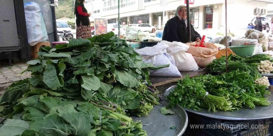 Karadeniz’deki karalahananın faydaları bilimsel olarak kanıtlandı