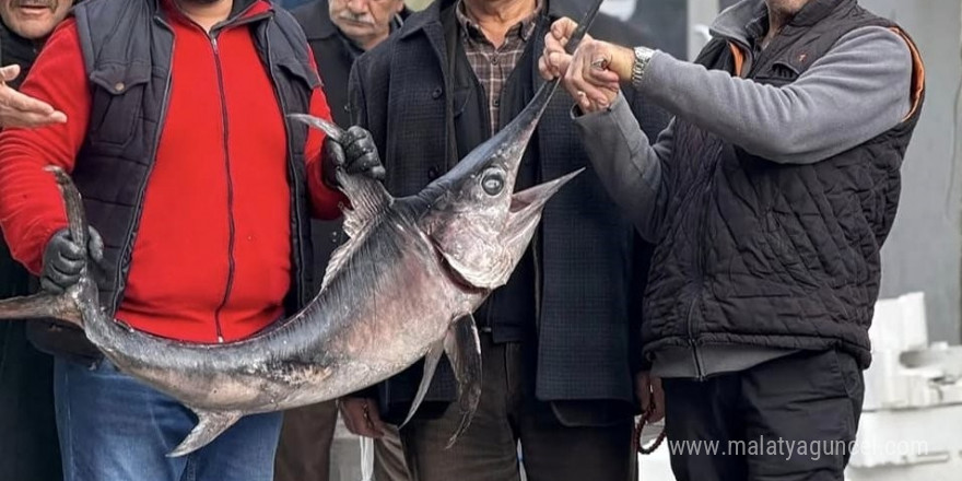 Karadeniz’den Erzincan’a gelen Kılıçbalığıyla poz verdiler