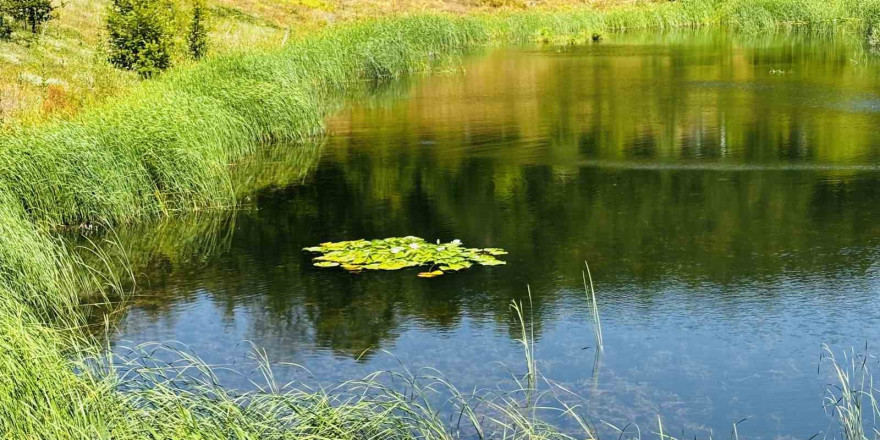 Karagöl turizme kazandırılacak