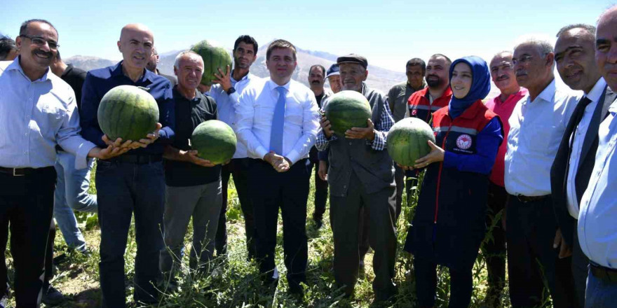 Karaman’da karpuz hasadı başladı