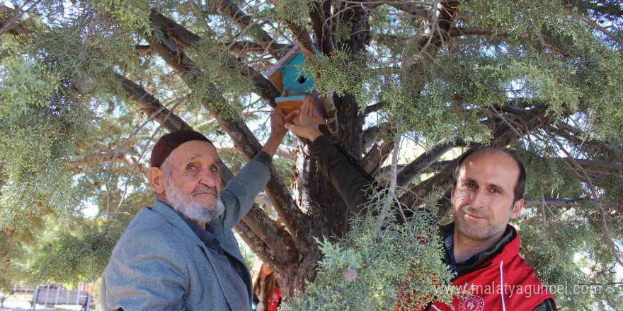 Karaman’da kuş evleri ağaçlara yerleştirildi