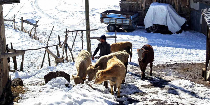 Karla kaplı 2 bin rakımlı Avcılar köyü hayran bırakıyor