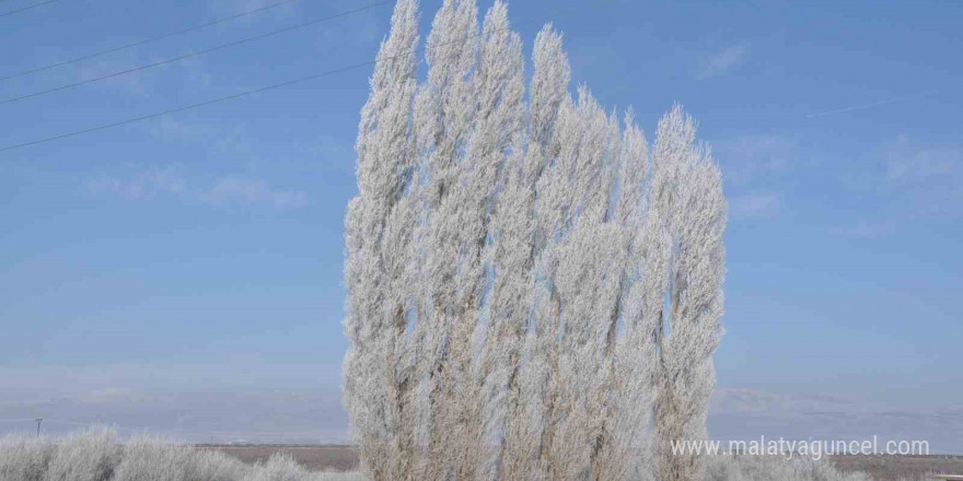 Kars dondu, ağaçlar kırağı tuttu