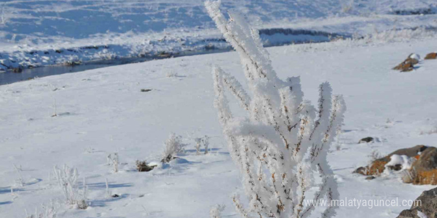 Kars dondu, ağaçlar kırağı tuttu