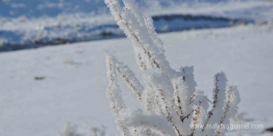 Kars dondu, ağaçlar kırağı tuttu