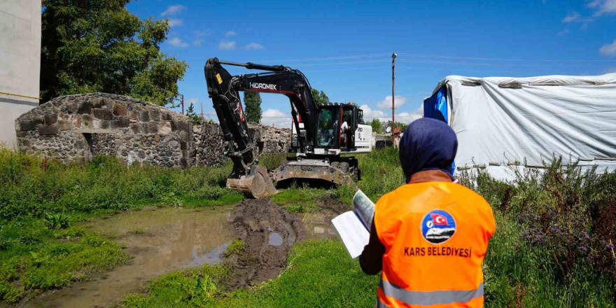 Kars’ta metruk binaların yıkımı sürüyor