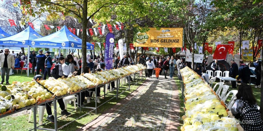 Kartepe’de ayva festivali coşkusu