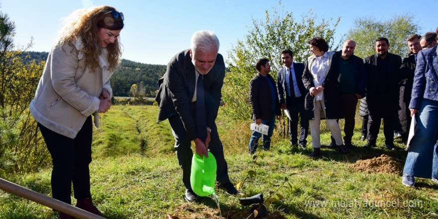 Kastamonu Üniversitesi’nde 100 fidan dikildi