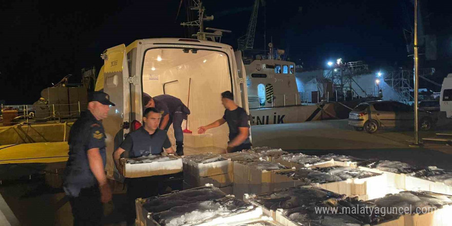 Kastamonu’da 162 kasa küçük balık ele geçirildi