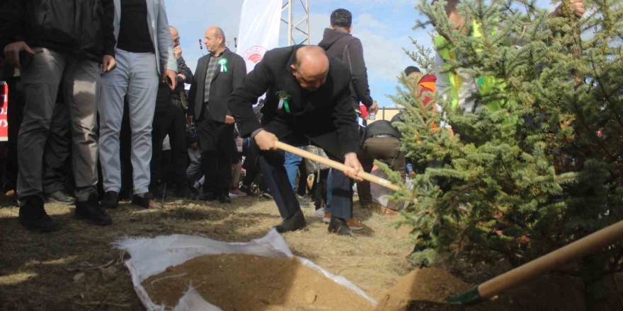 Kastamonu’da 25 bin fidan toprakla buluşturuldu