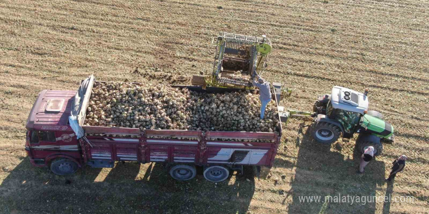 Kastamonu’da çiftçilerin zorlu pancar mesaisi devam ediyor