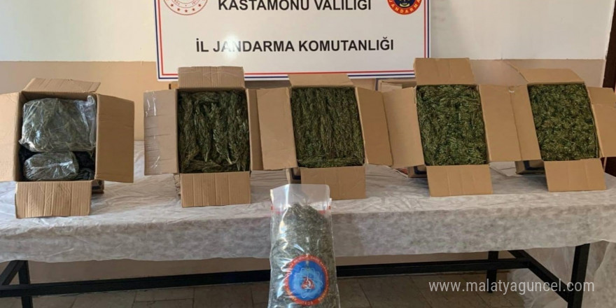 Kastamonu’da esrar ele geçirildi: 1 tutuklama