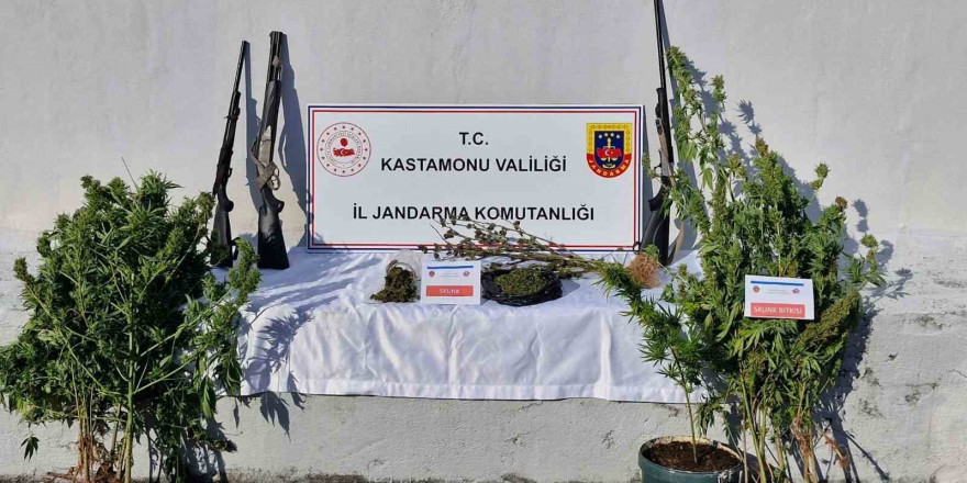 Kastamonu’da jandarma ekiplerinden uyuşturucu operasyonu: 6 gözaltı