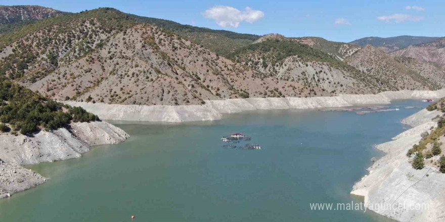 Kastamonu’da rekor alabalık ve Türk somonu üretimi