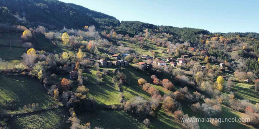 Kastamonu’da sonbaharın renkleri mest ediyor