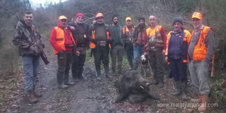 Kastamonu’da su borusunu tamir ederken domuzun saldırdığı adam ağır yaralandı